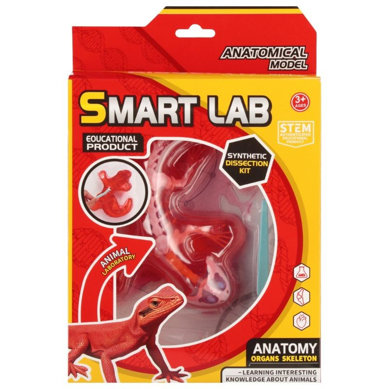 Vedecká sada anatómie Jašterica