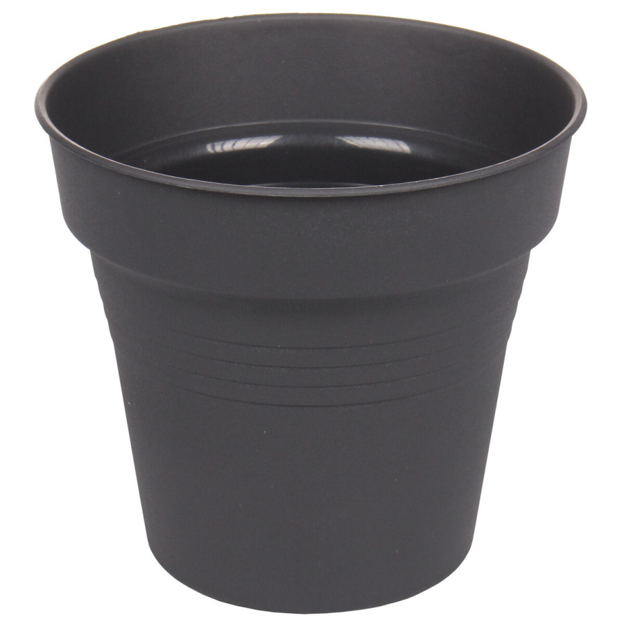 Camelie kvetináč 23 antracitová