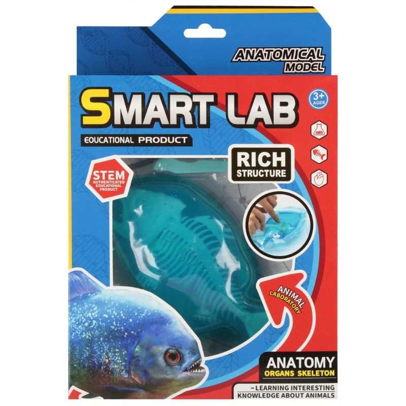 Vedecká sada anatómie Ryba