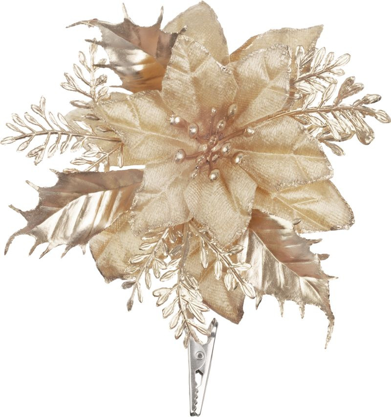 Kvet MagicHome Vianoce, poinsettia, champagne, 9,5 cm, veľkosť kvetu: 13 cm