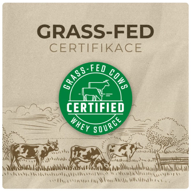 100% Whey Protein 30 g 1