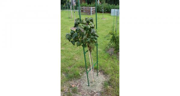 Merco Gardening Pole 8 záhradná tyč 150cm