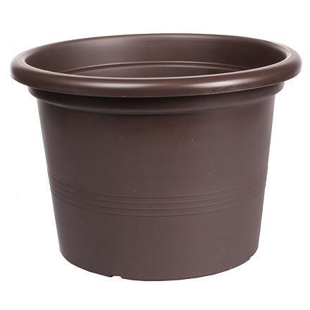 Campanula kvetináč hnedá