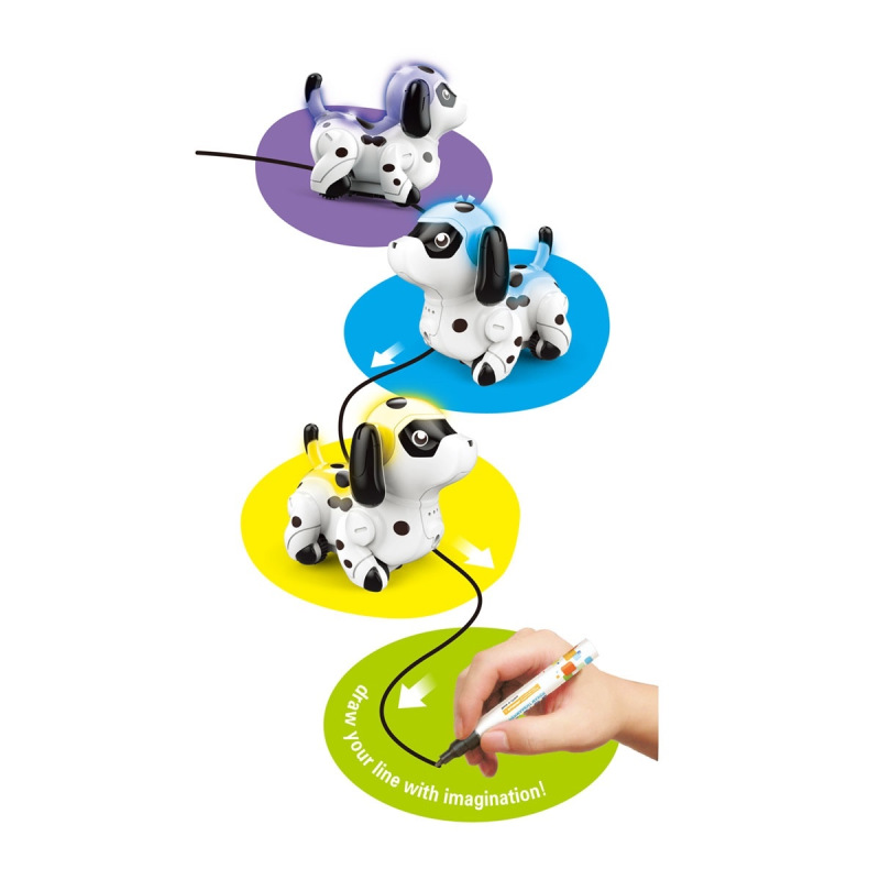 Psík, jazdiaci po namaľovanej čiare 1