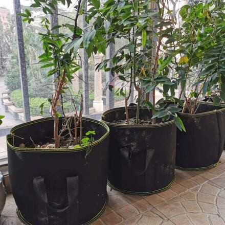 Grow Bag 19L textilný kvetináč 4