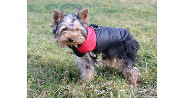 Merco Vest Doggie kabátik pre psov červená, veľ. L