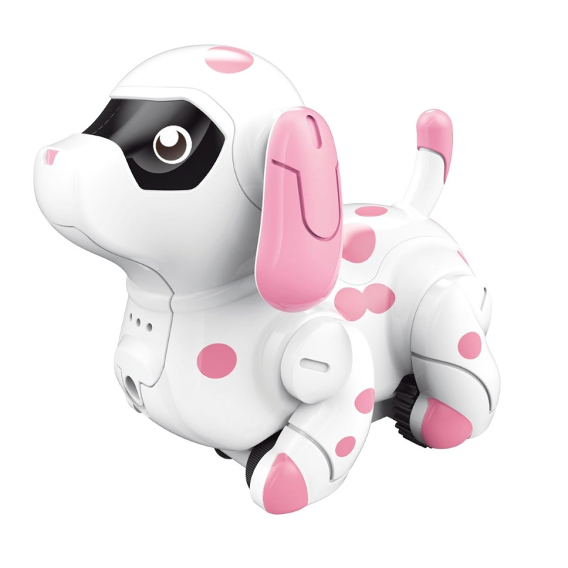 Psík, jazdiaci po namaľovanej čiare 4