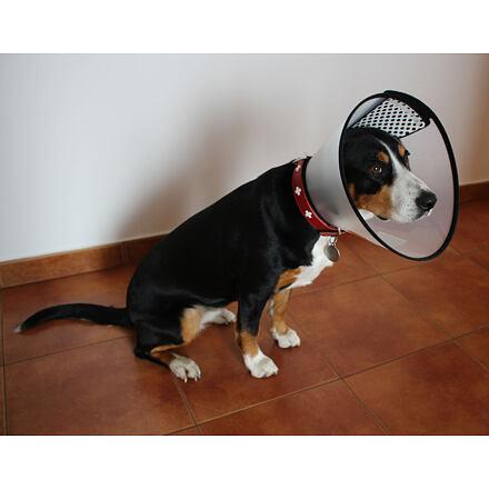 Merco Anti Bite Collar ochranný golier pre psov, veľ. S 3