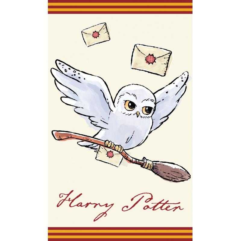 Detský uterák 30/50cm Harry Potter, HP213003