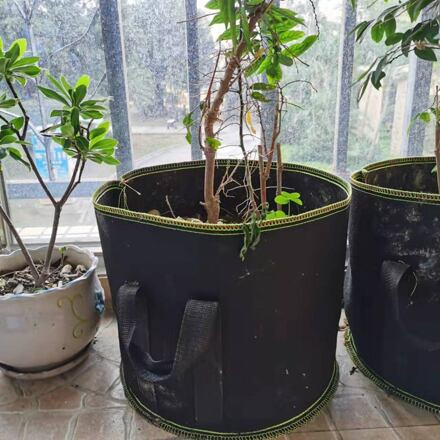 Grow Bag 19L textilný kvetináč 1