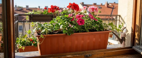 Kvetináč AGRO IS500, 18x50x14 cm, 8,5 lit., terakota 1