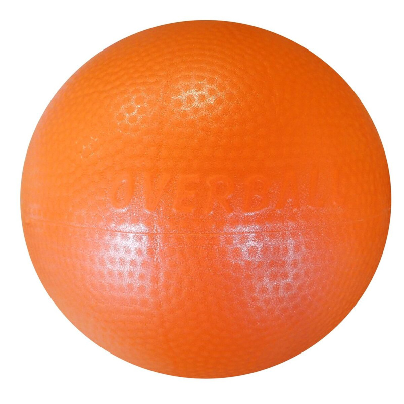 Gymnic overball 2
