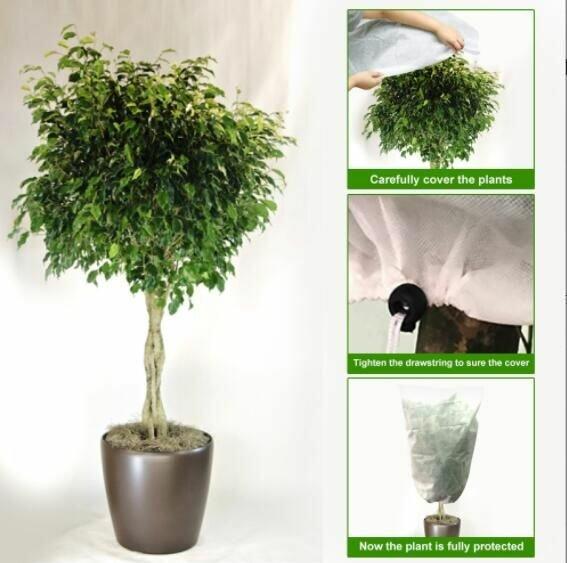 Merco Plant Cover 180x160 ochranný vak na rastliny