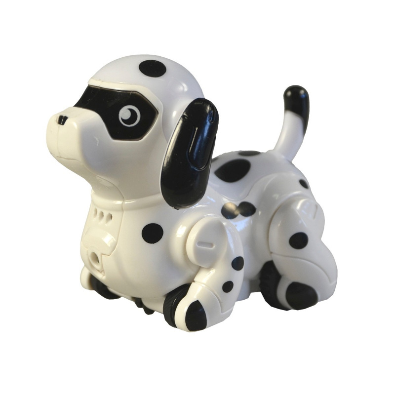 Psík, jazdiaci po namaľovanej čiare 3