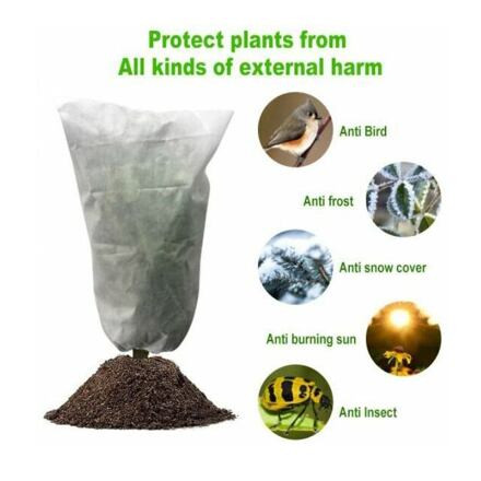 Plant Cover 180x120 ochranný vak na rastliny 3