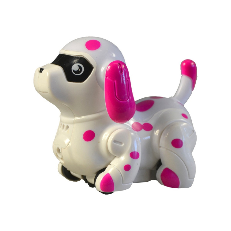 Psík, jazdiaci po namaľovanej čiare 2