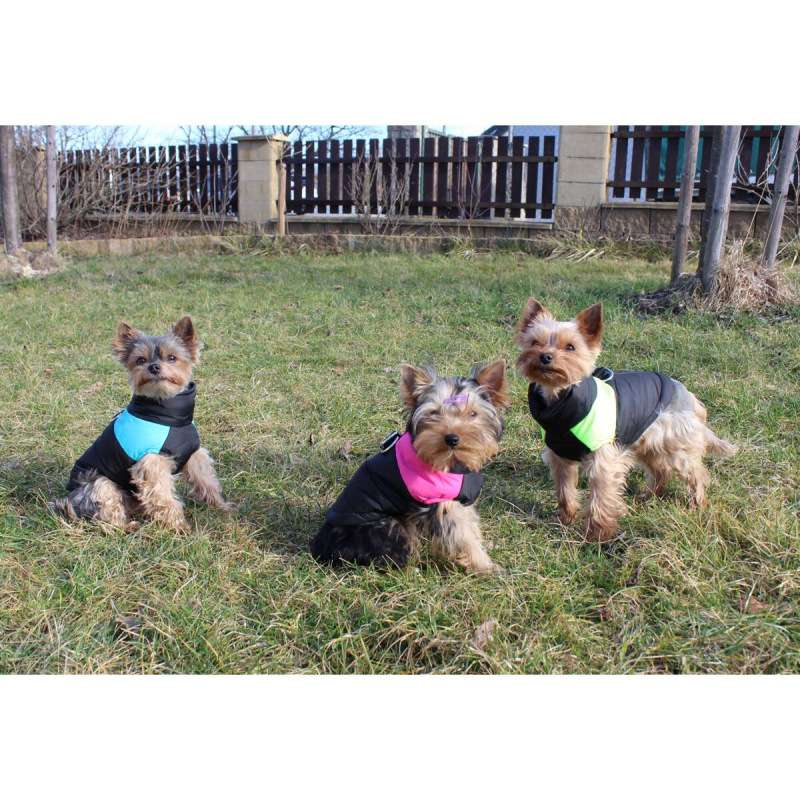 Vest Doggie kabátik pre psov zelená 1