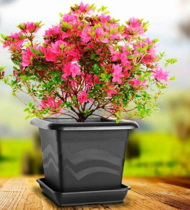 Quattro kvetináč hnedá 1