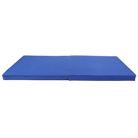 Gymnic Pro gymnastická žinienka modrá 1