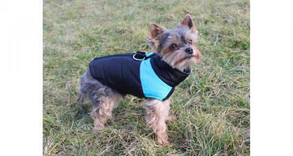 Merco Vest Doggie kabátik pre psov modrá, veľ. L