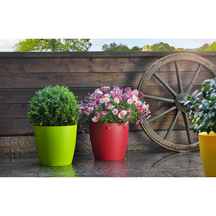 Plastkon Ella Mat dekoračný kvetináč biela, 11cm 4
