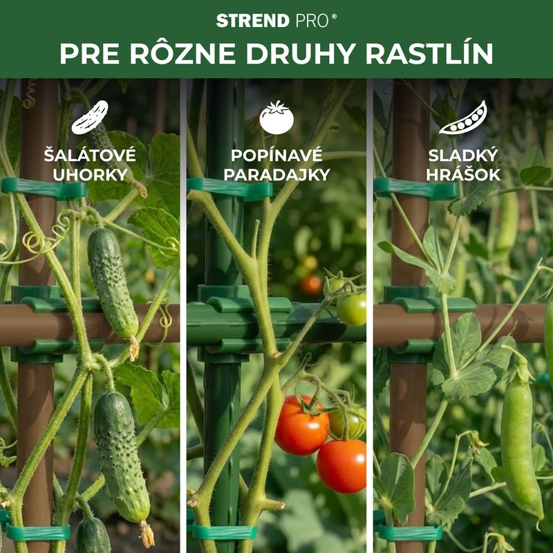 Spojka SC08, 8 mm, plast, konektor na záhradné oporné tyče, bal.30ks 3