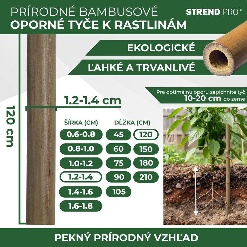 Tyč Garden KBT 1200/12-14 mm, bal. 10 ks, bambus, oporná k rastlinám 2