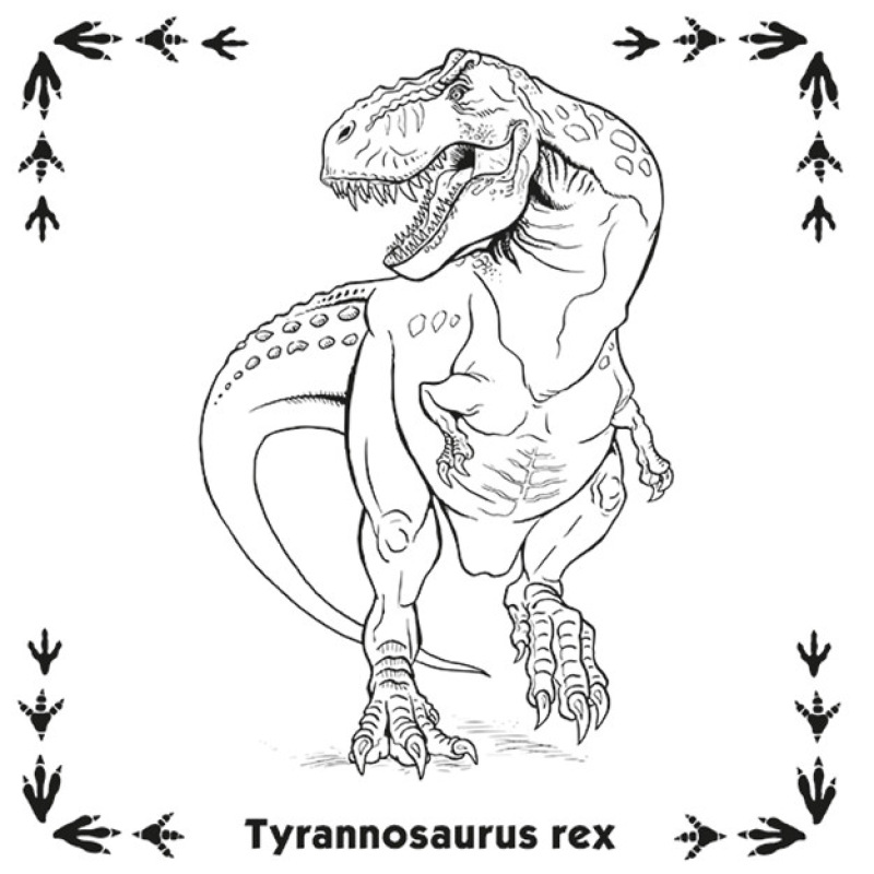 Pexeso v zošite Dinosaury 2