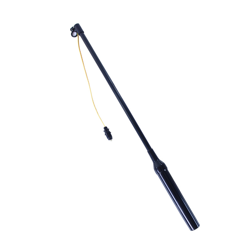 Lampión kostra s paličkou 1