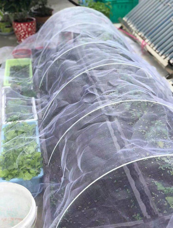 Plant Hoop konštrukcia na ochranu rastlín 3