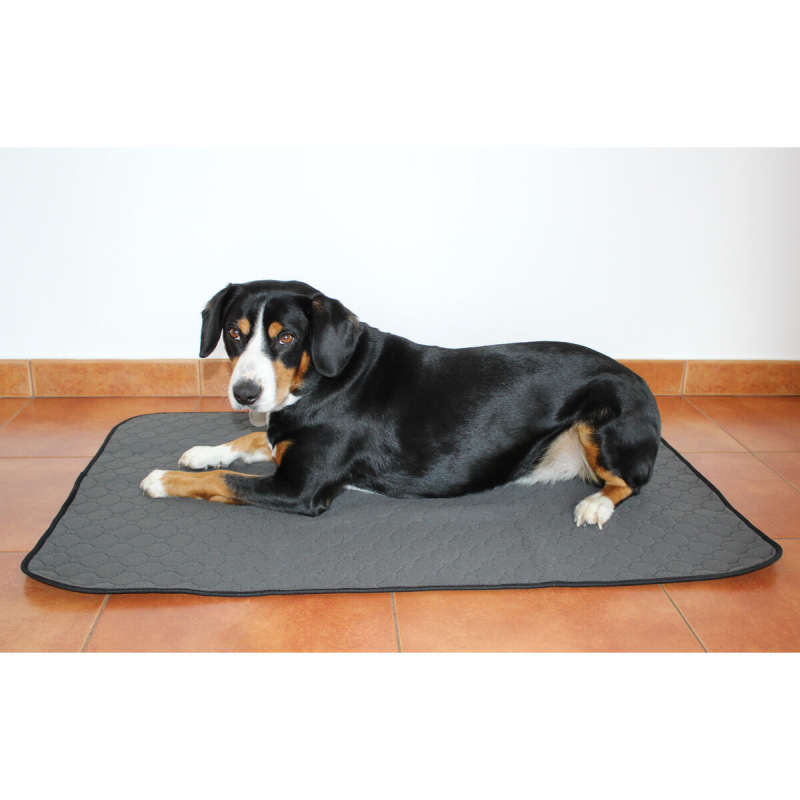 Paddog podložka pre psy šedý 5