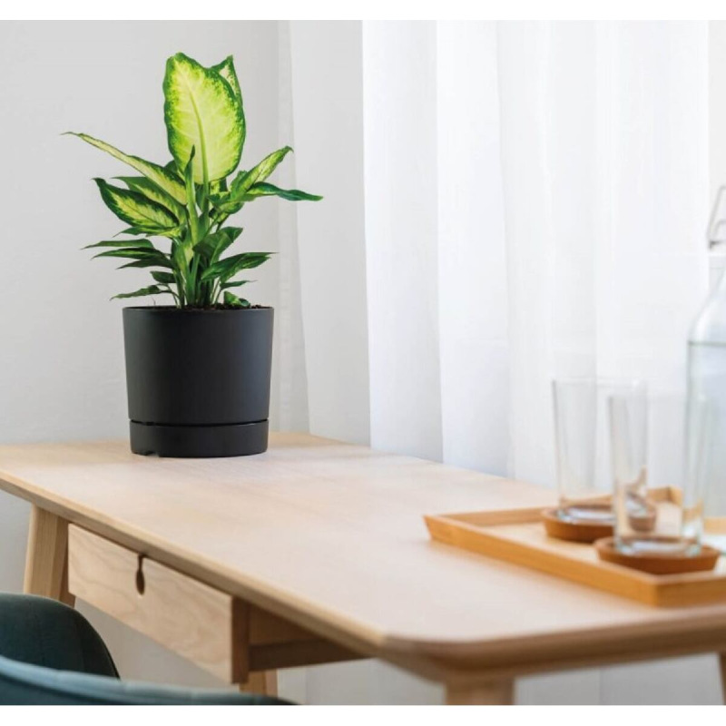 Oliver dekoratívny kvetináč 18 antracitová 2