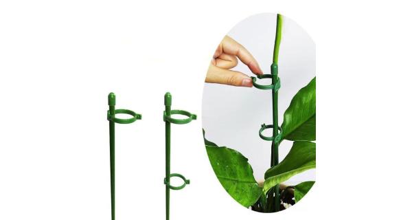 Merco Plant Rod 75 tyčky k rastlinám 10 ks
