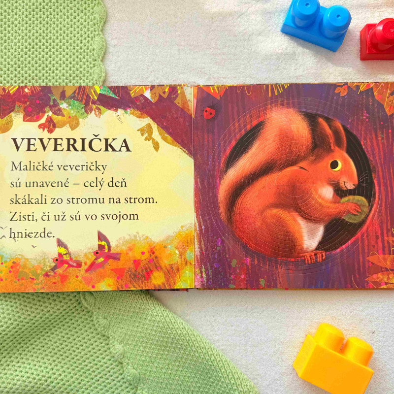 Mláďatká v lese - kniha s pružinkou 3