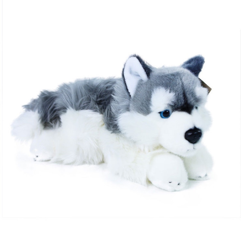 Plyšový pes husky