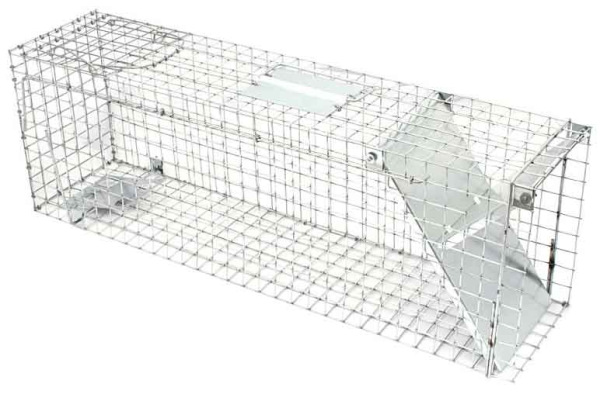 Pasca na kuny, potkany a norky, 50x20x27 cm, jednovchodová, XL-TOOLS