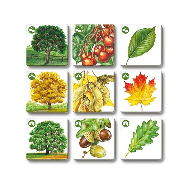 Hra PEXETRIO Stromy 4