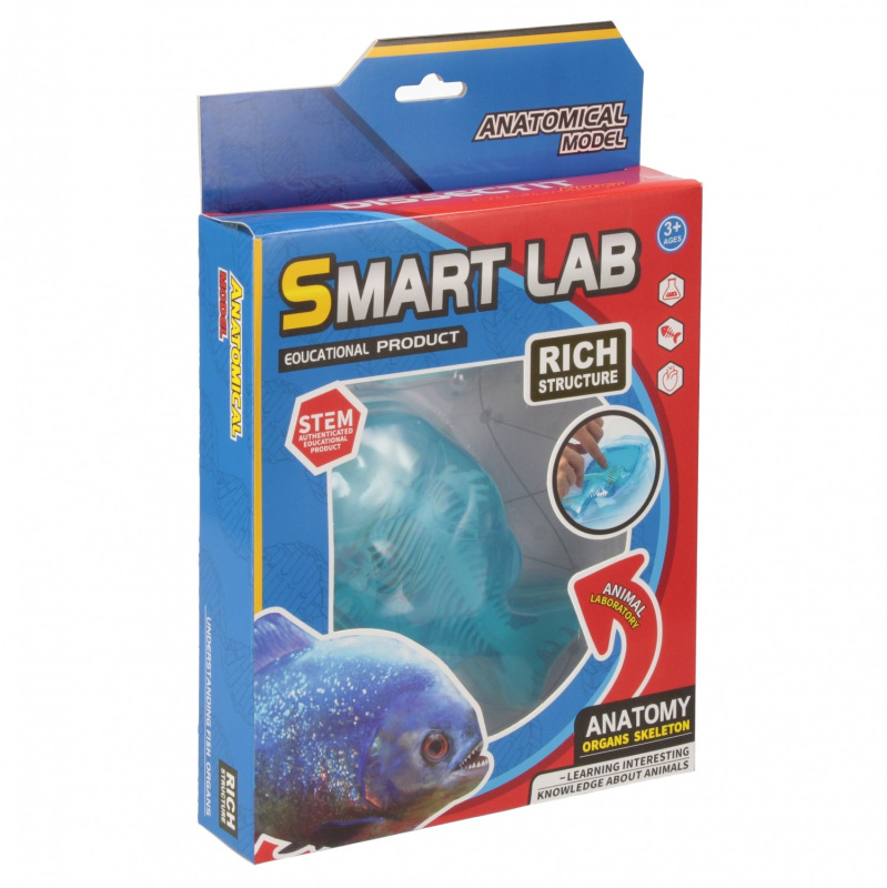 Vedecká sada anatómie Ryba 2