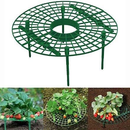 Strawberry Stand 30 stojan na jahody 1