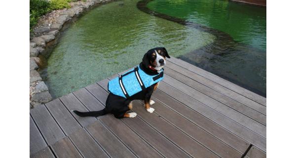 Merco Dog Swimmer plávacia vesta pre psa modrá, veľ. XL