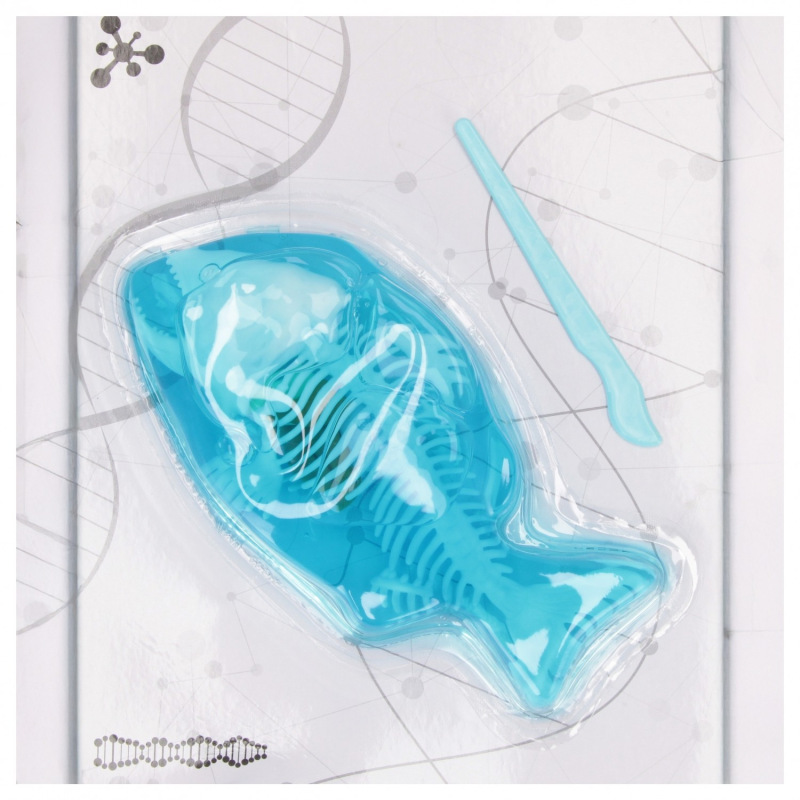 Vedecká sada anatómie Ryba 1