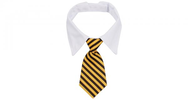 Merco Gentledog kravata pre psov žltá, veľ. S