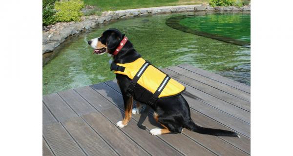 Merco Dog Swimmer plávacia vesta pre psa žltá, veľ. L