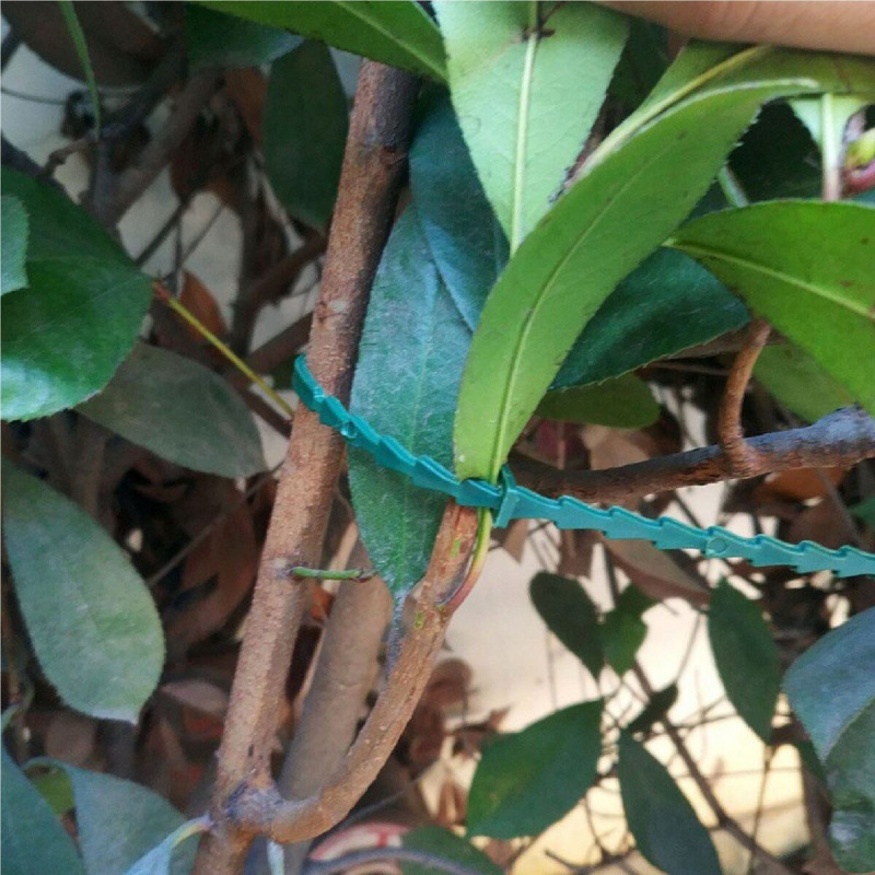 Kinzo 100 viazacie pásky na rastliny 4