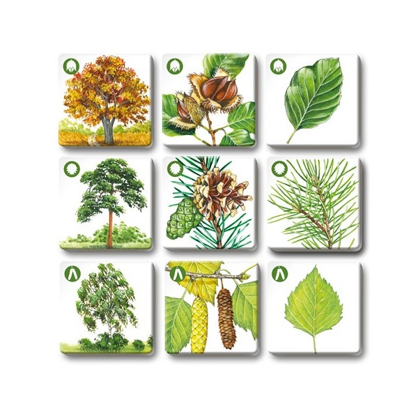 Hra PEXETRIO Stromy 1