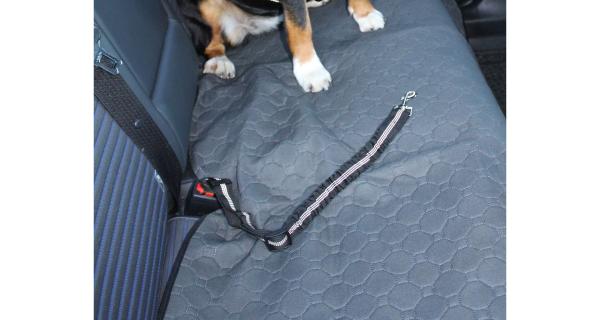 Merco Safer 1.0 pás do auta pre psov čierna