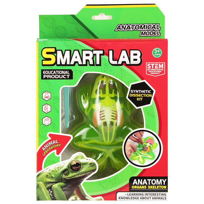 Hra Anatómia žaby