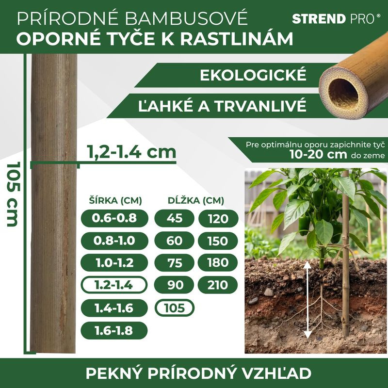 Tyč Garden KBT 1050/12-14 mm, bal. 10 ks, bambus, oporná k rastlinám 2
