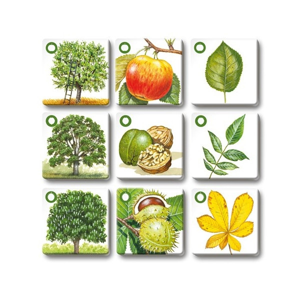 Hra PEXETRIO Stromy 2