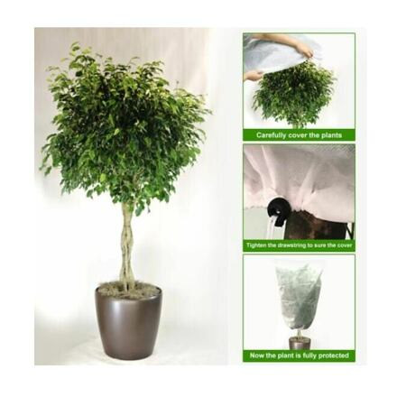 Plant Cover 100x80 ochranný vak na rastliny 5